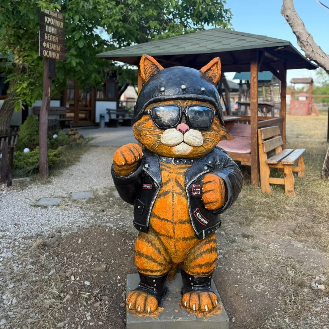 Кот - байкер